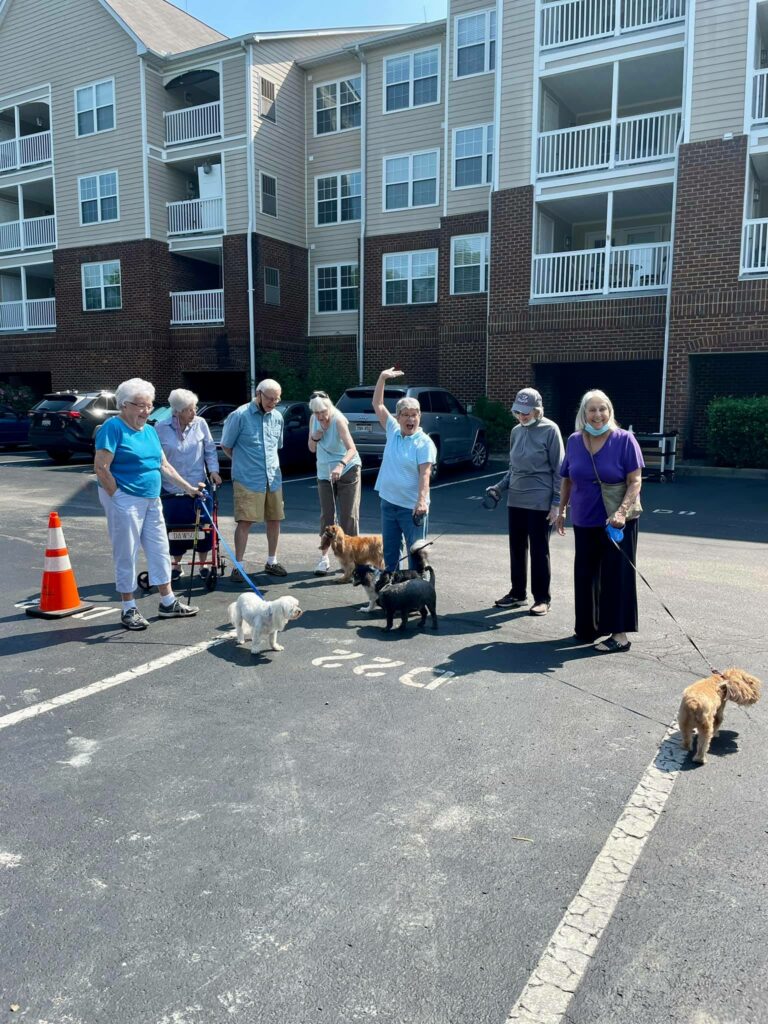 Senior Residents Taking Dogs to the New Dog Park
