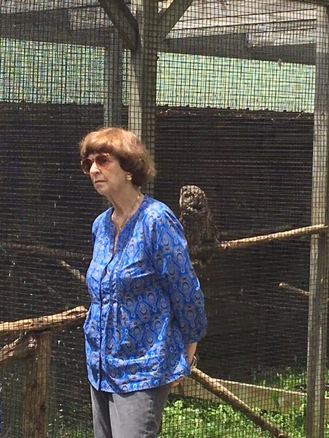 Residents recently took a bus trip to visit the Avian Center in Hinton, WV. Spring 2018.