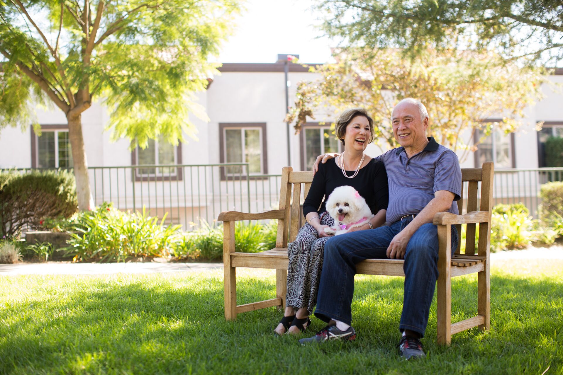 A senior couple sit on a park bench on a sunny spring day, with a small white dog on the woman's lap.