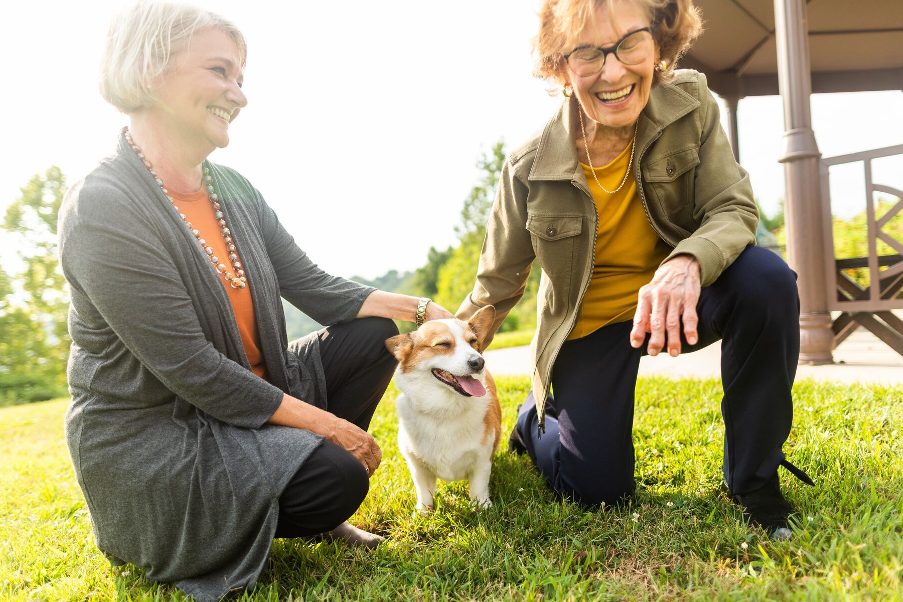 senior women laughing and petting a dog